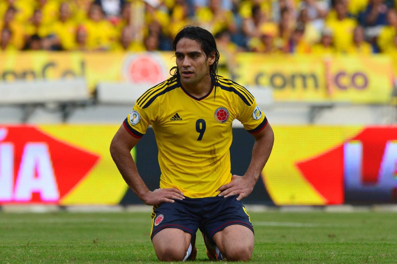 Kaiyun- 科维托娃比赛视频 